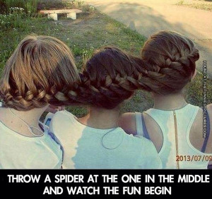funny-pics-throw-a-spider-on-the-one-in-the-middle