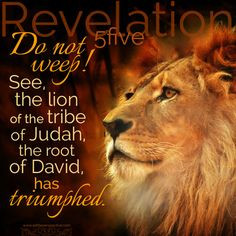 Do not weep! See, the lion of the tribe of Judah, the root of David ...