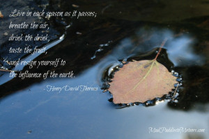 quotes from thoreau celebrating october