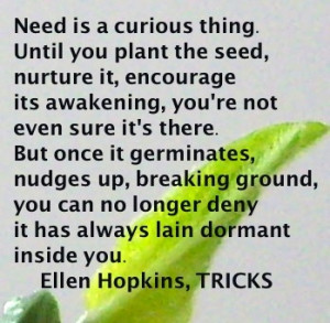 Ellen Hopkins