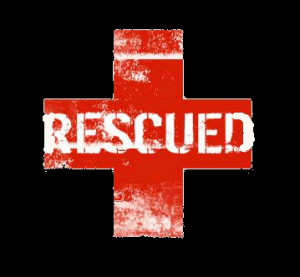 Bar Rescue - Ash Wednesday Edition