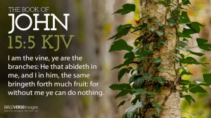 Related For Bible Verse John 15:5 I Am The Vine HD Christian Wallpaper