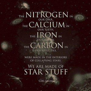 The nitrogen in our DNA, the calcium in our teeth, the iron in our ...