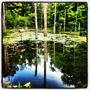 ... recycling and donating electronics keeps it beautiful! Photo by Amy