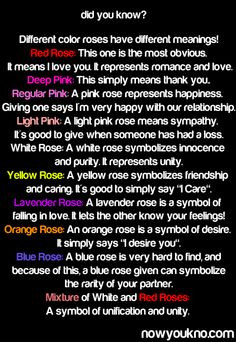 The meaning of the different colors of roses. More