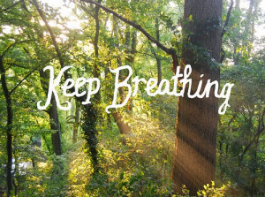 breath forest nature quotes sunlight text