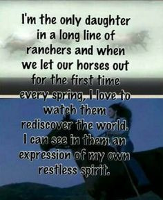 ... quotes flicka movie quotes horses movie flicka horses country life
