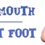 Open Mouth, Insert Foot :: The Power of Words