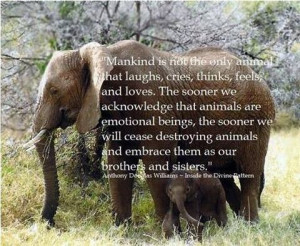 Uploaded to Pinterest