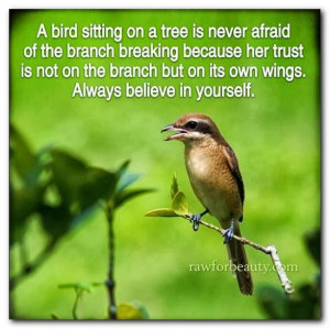 Always believe in yourself... #quotes -= words of wisdom =-