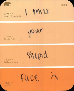 Funny Quote - I Miss Your Stupid Face.