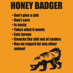 The honey badger doesn't give a shit..