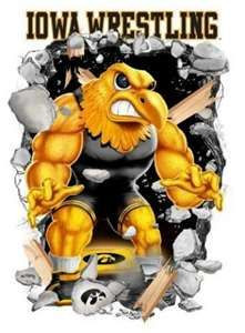 Image Search Results for hawkeye wrestling
