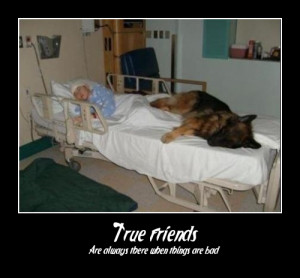 Helping Others Quotes And Sayings