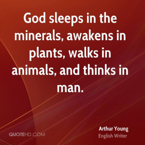 God sleeps in the minerals, awakens in plants, walks in animals, and ...