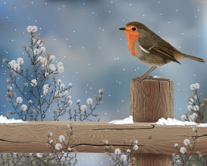 Winter Bird Desktop Background HD wallpapers