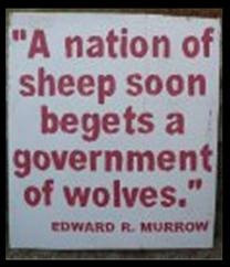 Pinned by Lee Foster