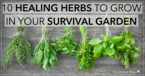Herbs have been used for centuries to sooth and to heal. According to ...