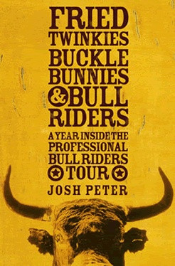 hate bull riding but would love to read this to understand what ...