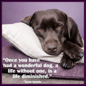 Dog quote via www.Facebook.com/PositivityToolbox [also for R. Linda H ...