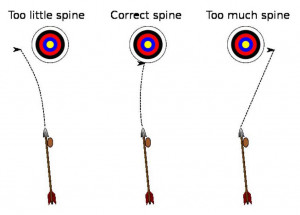 archery bow and arrow