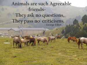 Sayings and Quotes | QuotesBoy.com