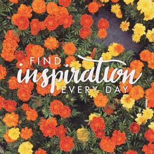 Find inspiration every day
