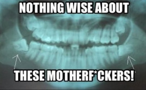Related Pictures funny wisdom teeth