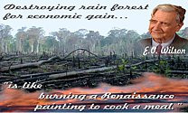 Quotes About Deforestation
