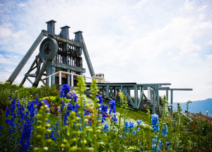 ... Lower Work Comp Costs and Eliminate Stress,Get Butte PEO Quotes Today