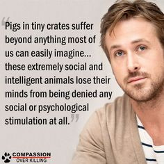 ... famous vegan quote pigs ryan gosling vegan govegan vegetarian vegan