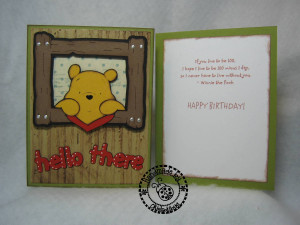 Winnie the Pooh Birthday - Start of series
