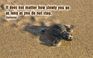 It does not matter how slowly you go as long as you do not stop.