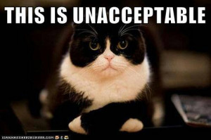 The lolcats are unhappy with the quality of this product.