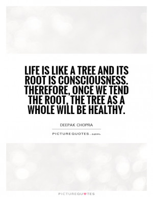 Life is like a tree and its root is consciousness. Therefore, once we ...