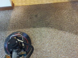 Carpet cleaning Cedar Rapids, Iowa City, Des Moines' best carpet