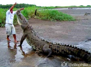 Crocodile_dundee__(3)