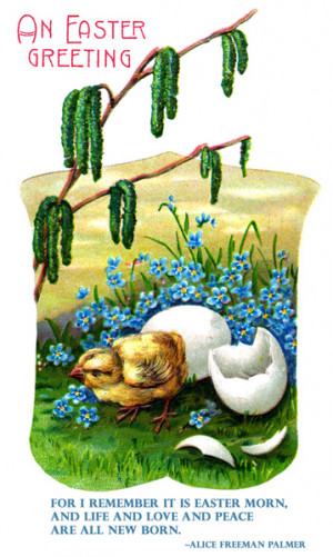 view original image )