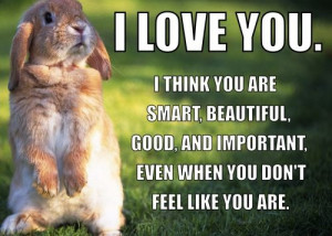 ... Wallpapers, Bunnies Quotes, Funny Animal Photos, Bunnies Rabbit