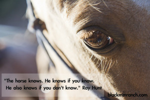 Ray Hunt Horse Quotes