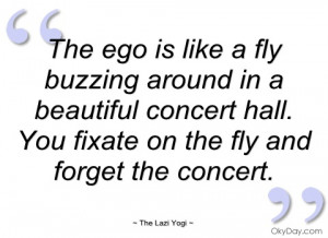 the ego is like a fly buzzing around in a the lazi yogi