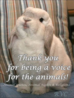 Thank You For Being A Voice For The Animals - Animal Quote