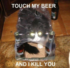 By Admin on October 26, 2012 Funny Animal Pictures
