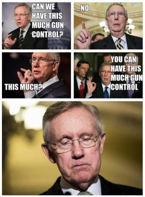 McConnell's facebook gloat re gun vote defeat