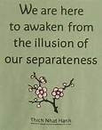 illusion of our separateness quote - Bing Images