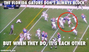 The Gators are choking on cupcakes , and now they’re going to have ...