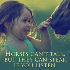 ... horse speak, a great trainer can hear him whisper... 'Monty Roberts