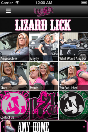 Lizard Lick Towing & Recovery by Figure 4, LLC