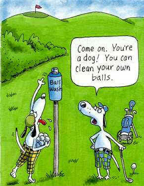 golfer tried three straight times to hit a golf ball over the inlet ...