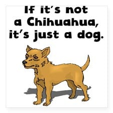 Funny Chihuahua Sayings Bumper Stickers